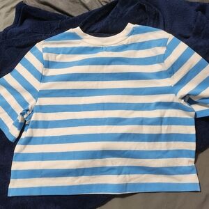 Blue and White Striped Cropped Shirt
